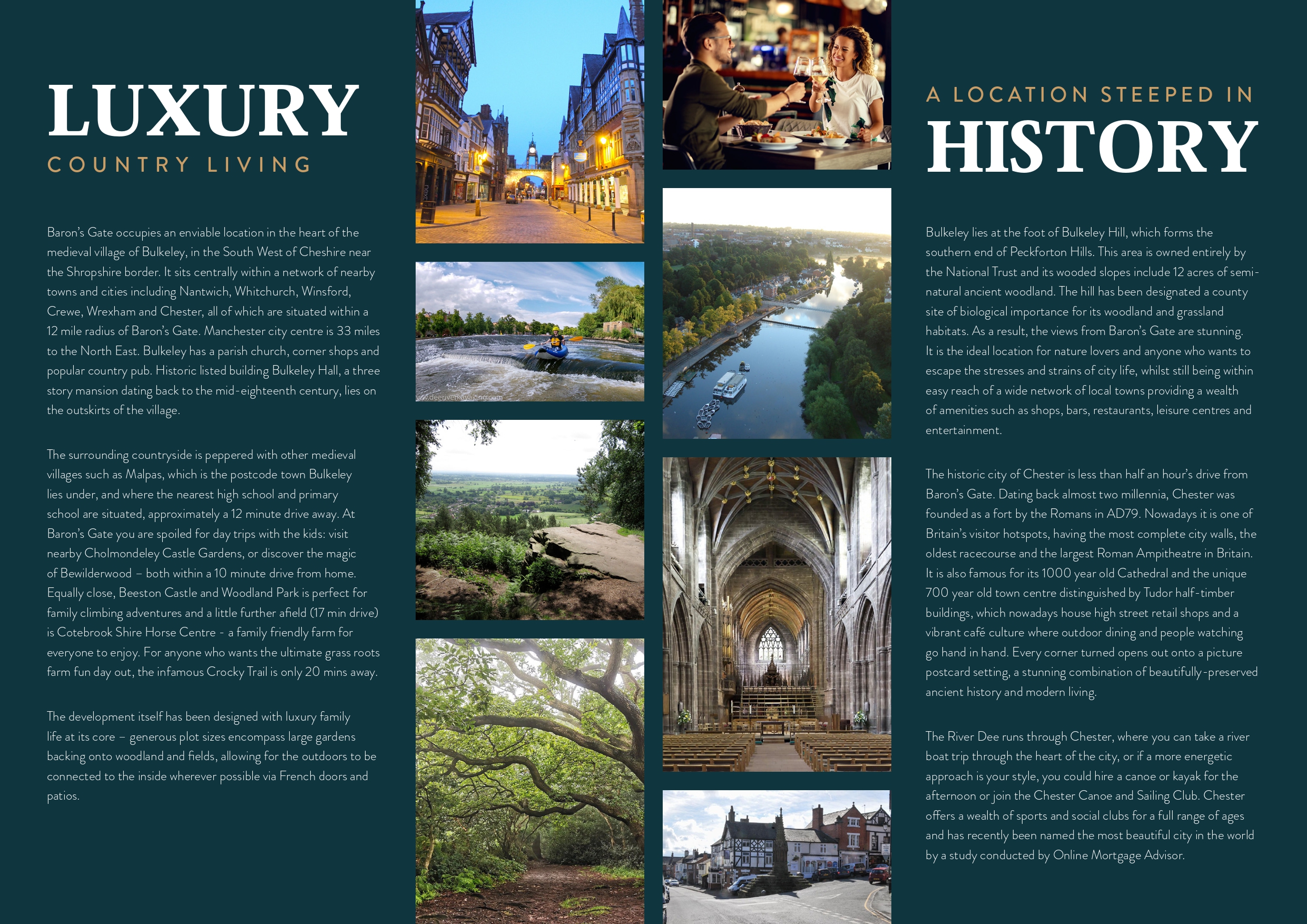 Local area information brochure page example
